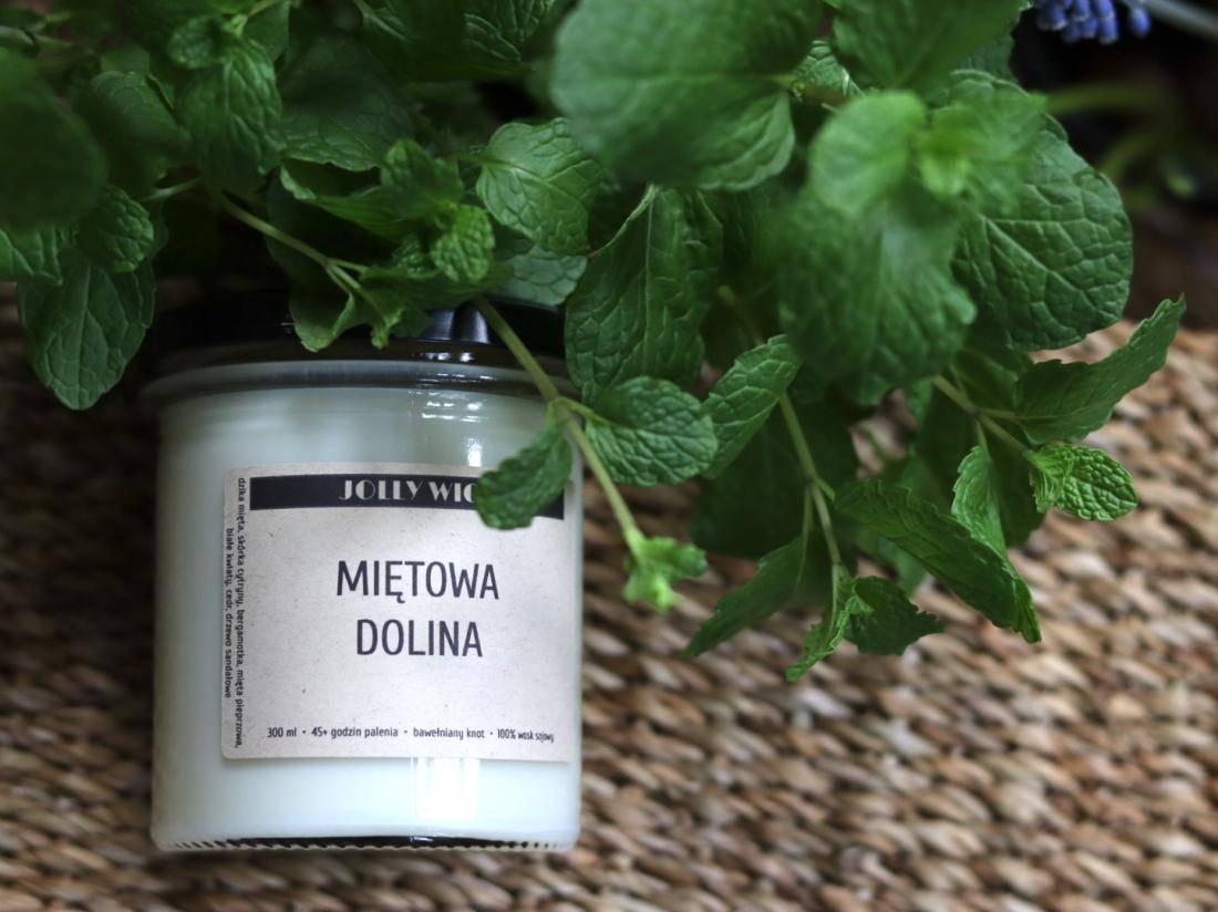 Miętowa Dolina | Świeca Sojowa | 300ml